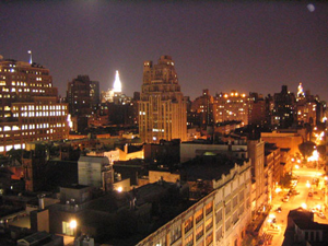 hotel gansevoort view from the roofotp