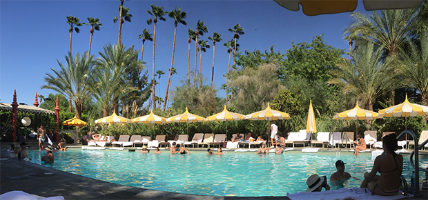 the parker palm springs pool